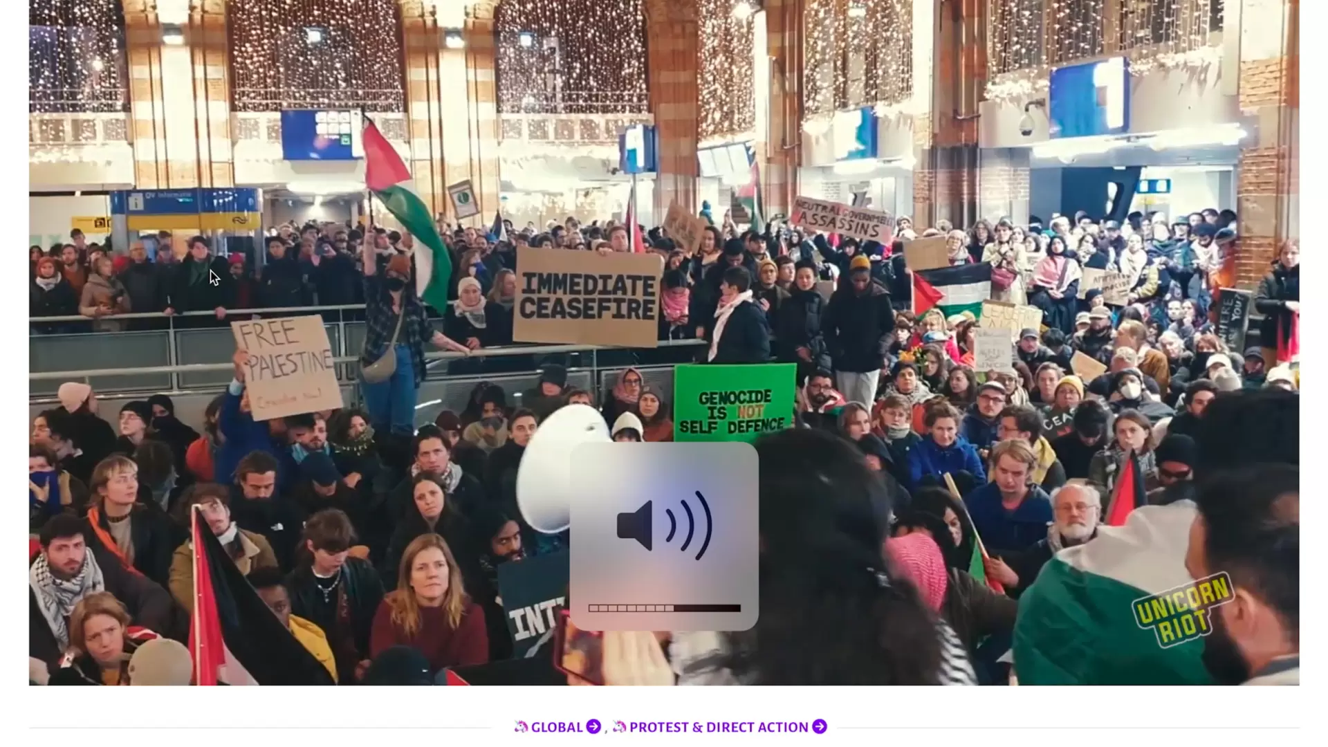 直播不眠夜-圖片